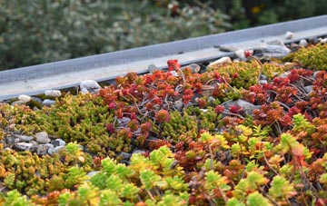 the cost of Stapleford green roof installation